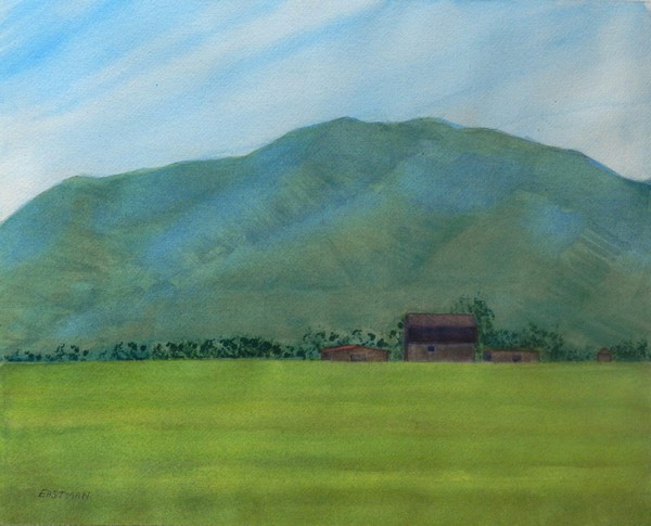 Barns near Bear River Bird Refuge, Utah.jpg